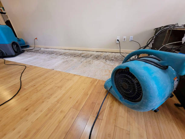 Professional Flood Damage Cleanup technician working in Rheems, PA